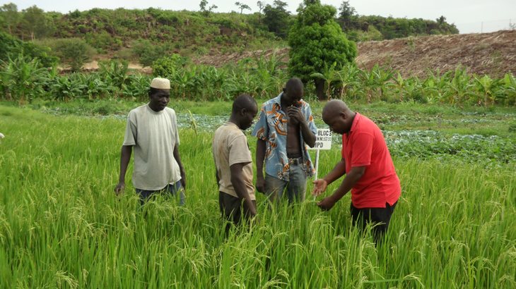 abdoulaye im feld