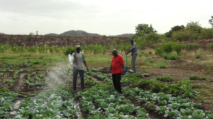 abdoulaye im feld 2