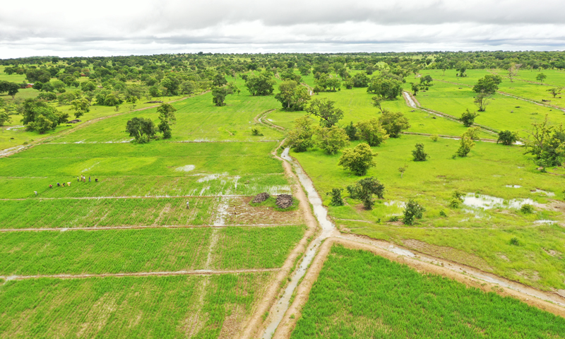 Picture 2 Rice production 2022