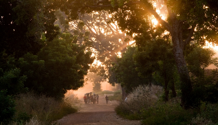 waldspaziergang